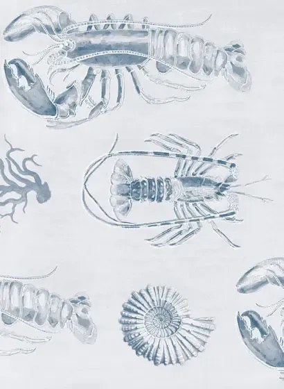 Tapete Lobster von MINDTHEGAP - WP20014