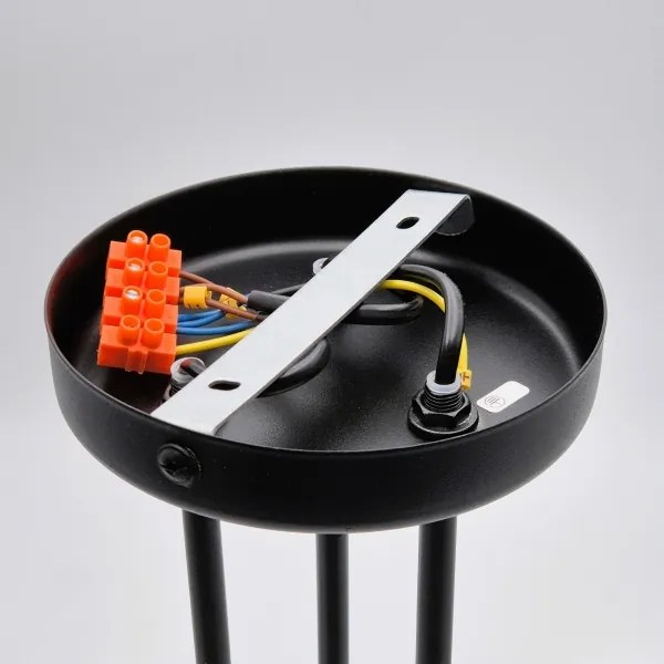 Lampadario a plafone MATYLDA 3xE27/60W/230V nero