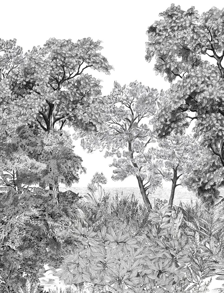 Isidore Leroy Carta da parati panoramica Foret de Bretagne Grisaille - Grisaille – Bahnen 1/2/3