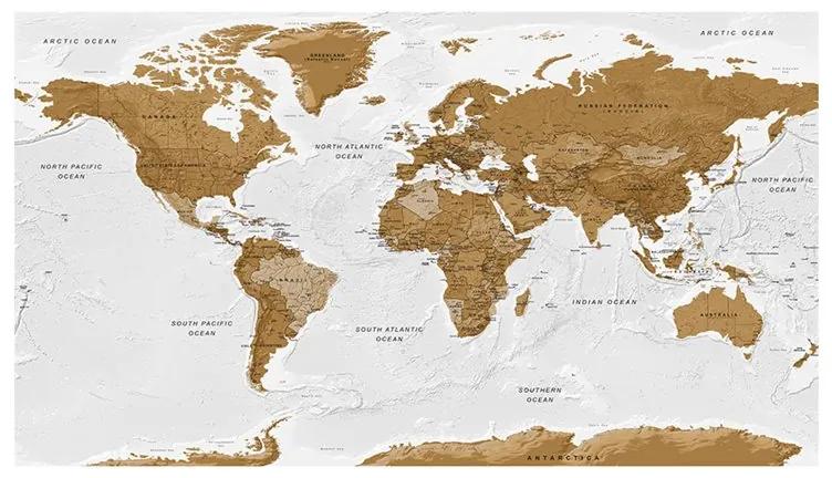 Fotomurale XXL World Map: White Oceans II