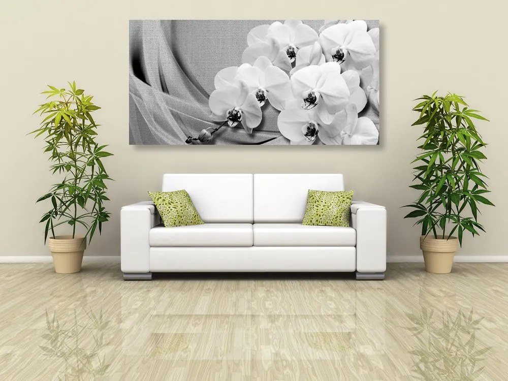 Stampa su tela – Orchidea su tela in bianco e nero