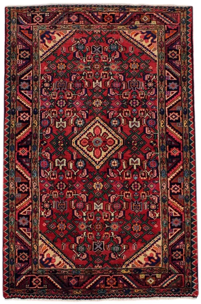 Hamedan Tappeto 160x100 (Iran)