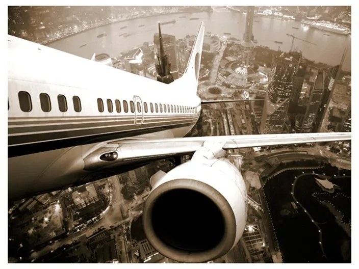 Fotomurale  Vista su città da un aereo decollante  Colore seppia, Dimensioni e Misure 200x154