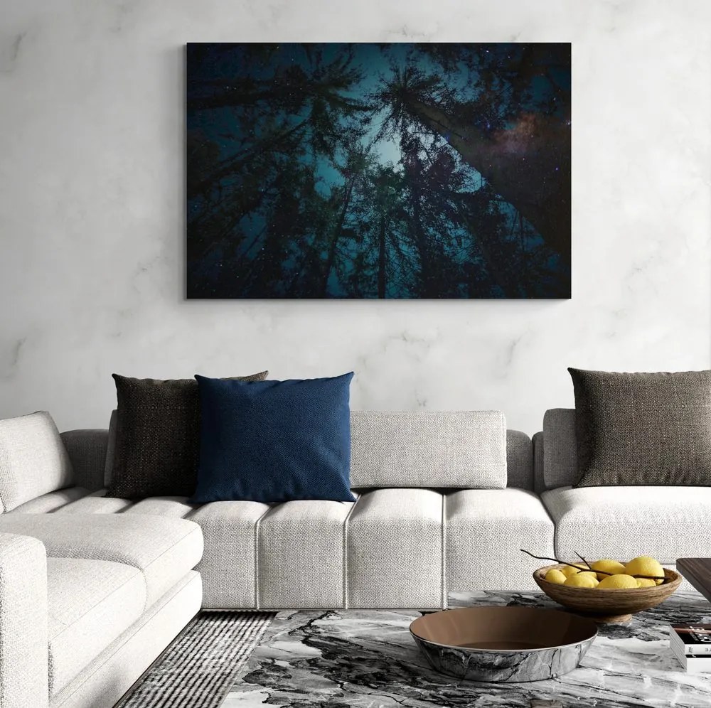 Quadro su tela – Notte nella foresta