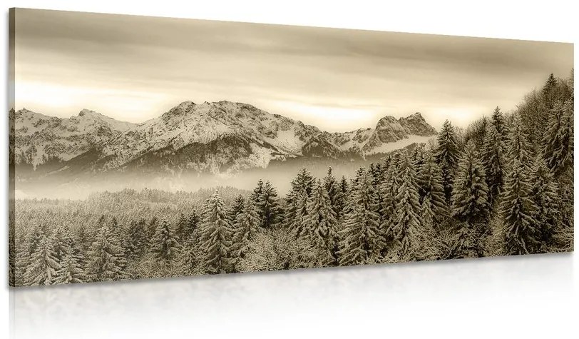 Quadro su tela – Montagne congelate in seppia