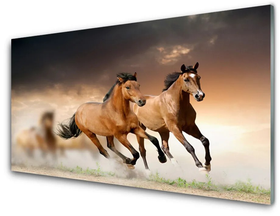 Pannello cucina paraschizzi Animali cavalli 140x70 cm
