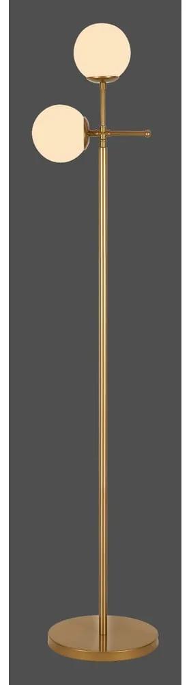Lampada da terra color oro, altezza 174 cm Kruva - Squid Lighting