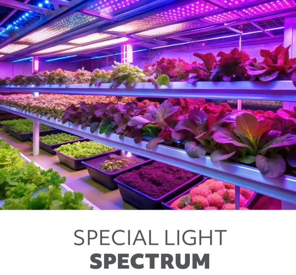 Lampada da terra dimmerabile a LED per la coltivazione di piante VITARO 4xLED/7,5W/230V nero