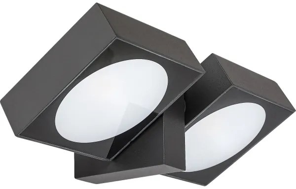 Rabalux 77101 - Applique a LED da esterno TELDE 2xLED/7W/230V IP54 antracite