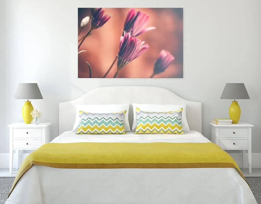 Quadro su tela – Margherite rosa delicate