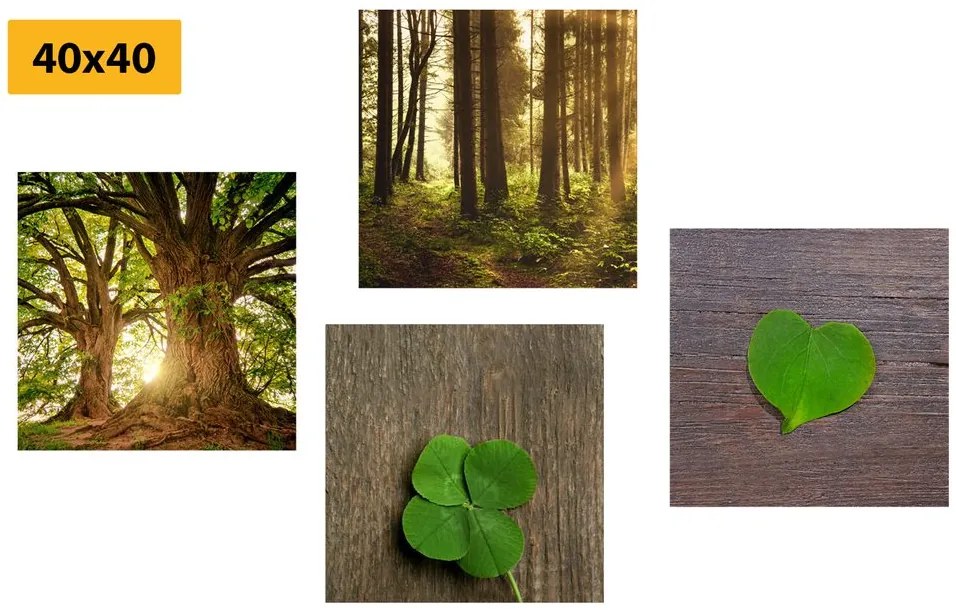 Set di quadri – Brezza della natura