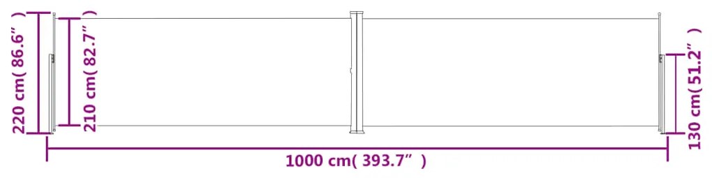 Tenda da Sole Laterale Retrattile Marrone 220x1000 cm