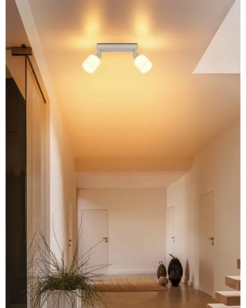 Globo 54114-2 - Faretto TRENT 2xE14/25W/230V