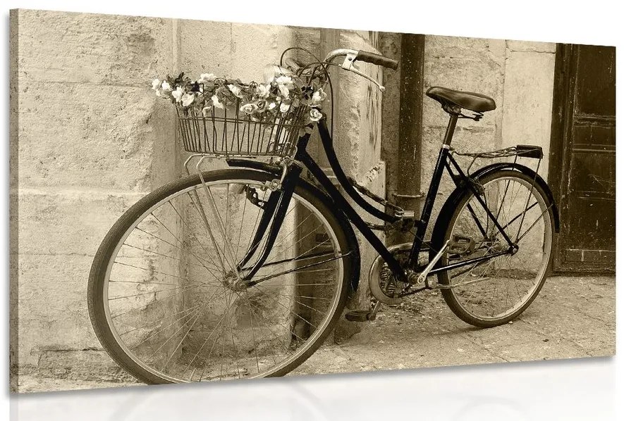 Stampa su tela – Bicicletta rustica in seppia