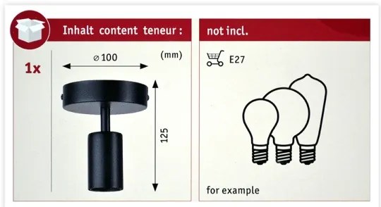 Paulmann 79760 - Plafoniera HALDOR 1xE27/20W/230V