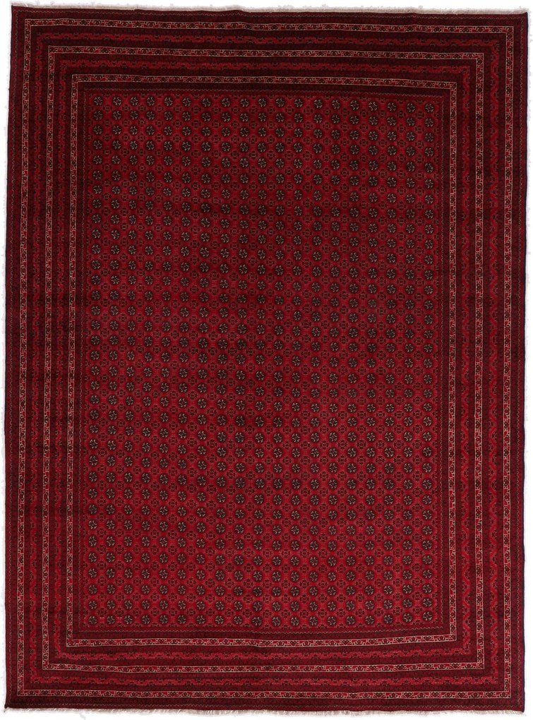 Afghan Tappeto orientale 250 x 330 (Afghanistan) Annodato A Mano