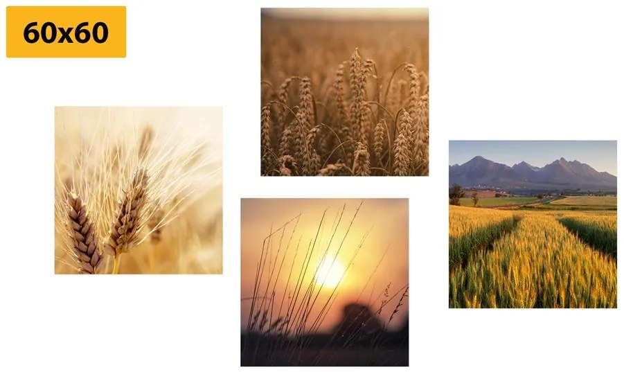 Set di quadri – Incanto della natura