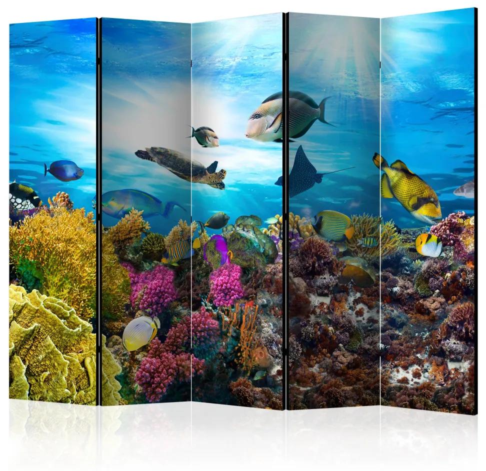 Paravento Barriera corallina colorata II (5 części) - vita oceanica