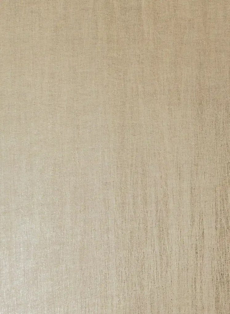 Armani Casa Tapete Metallized Plain - 9383