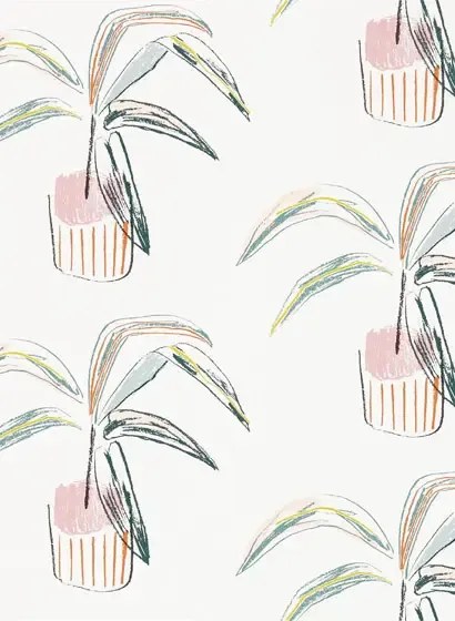Topfpflanzen Tapete Crassula von Scion - Blush/ Mint