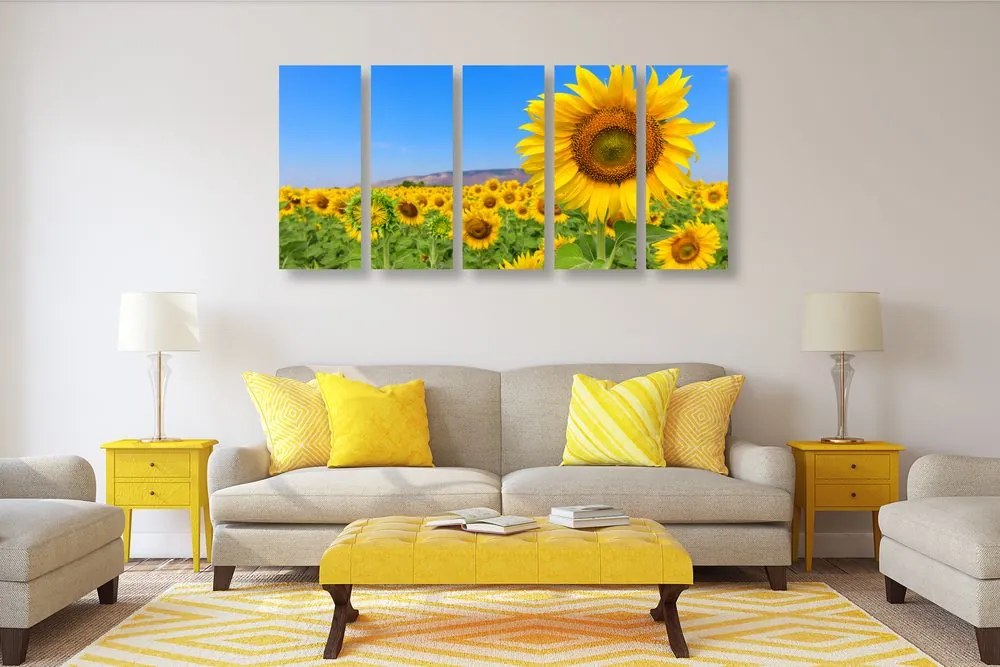 Quadri 5 pezzi – Campo di girasoli