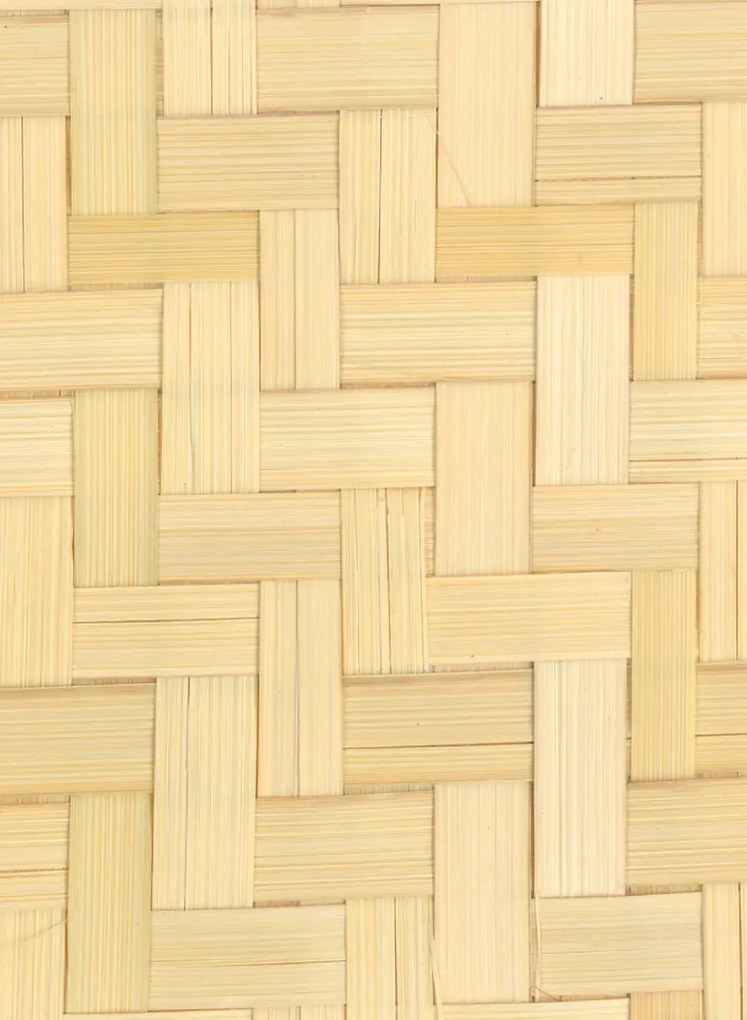 CMO Paris Carta da parati Bambou Twill - Naturel