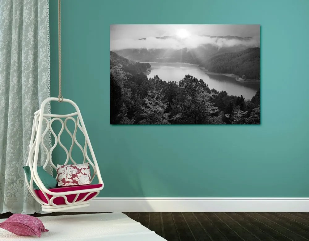 Quadro su tela – Fiume nel mezzo della foresta in bianco e nero