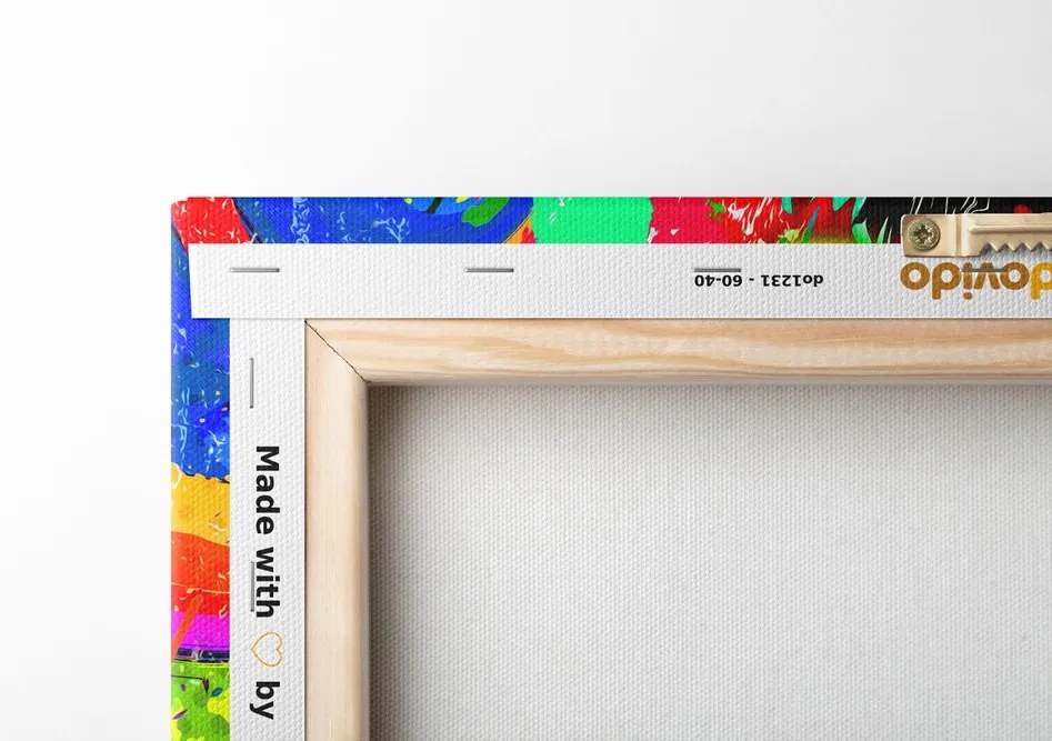Stampa su tela – Testa di leone colorata