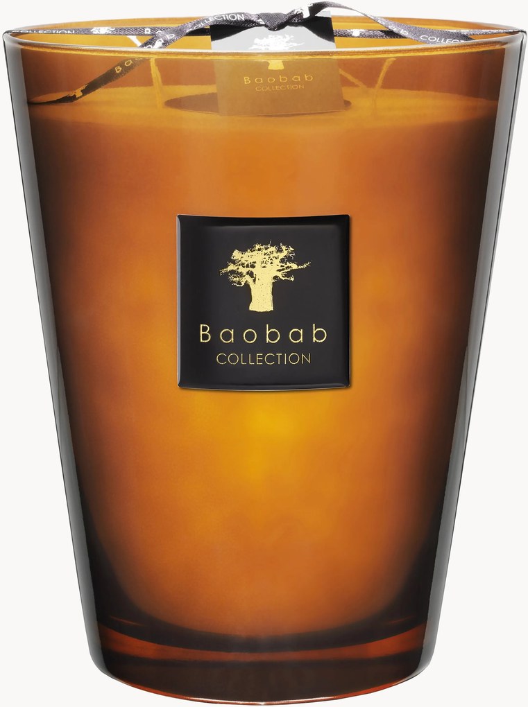 Candela profumata Prestigieuses (cuoio, vetiver, muschio)