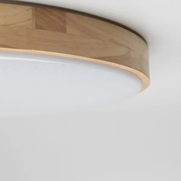 Brilagi - Plafoniera dimmerabile a LED PINE LED/24W/230V + telecomando