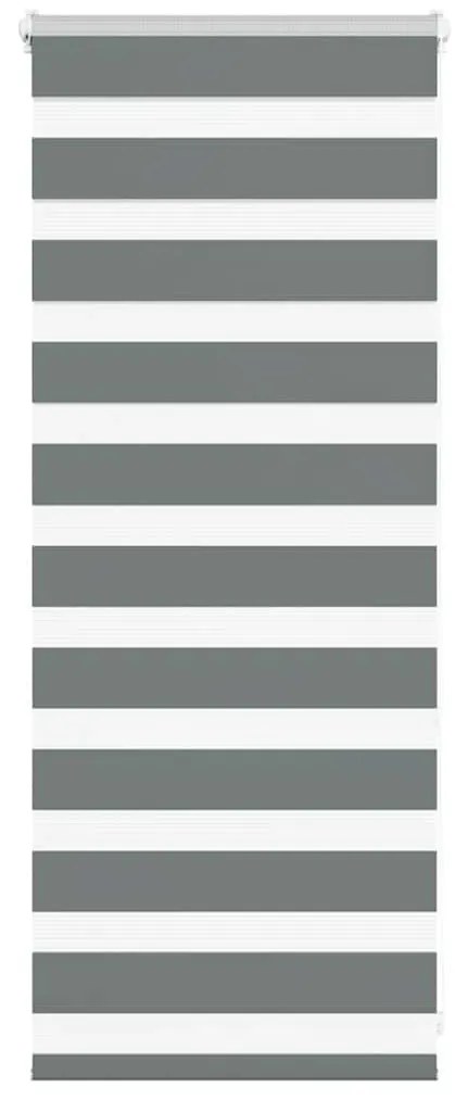 Tenda A Rullo Zebra Larghezza Tessuto 50,9 Cm Poliestere /