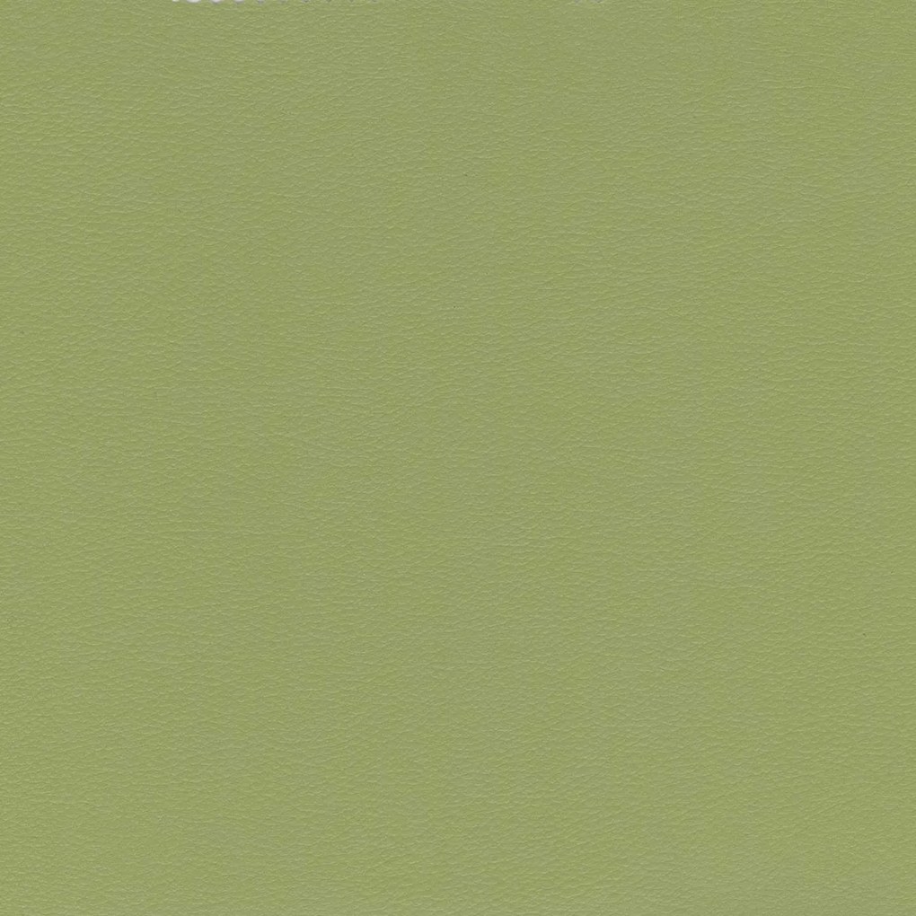 Florida cuscino disponibile in diversi colori realizzato in ecopelle resistente impermeabile T04 verde