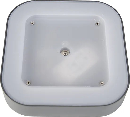 Lampada da parete e soffitto grigia quadrata IP54 - Ariel