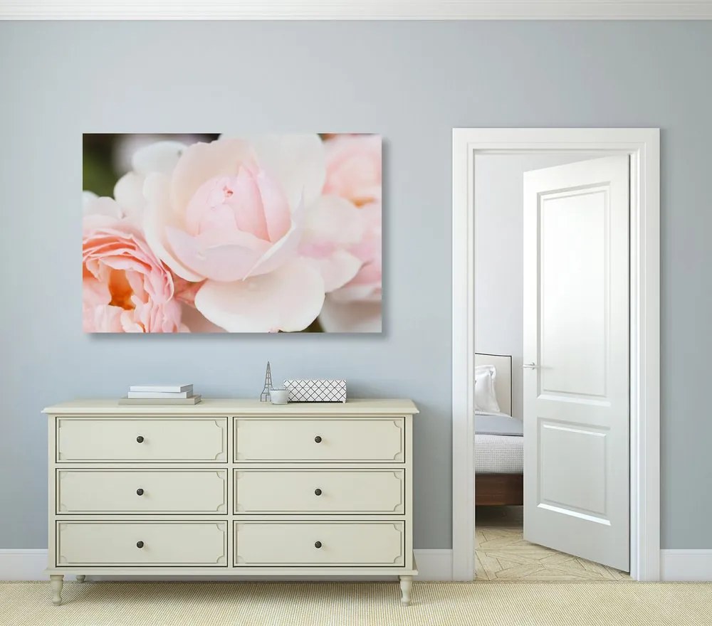 Quadro su tela – Pieno di rose