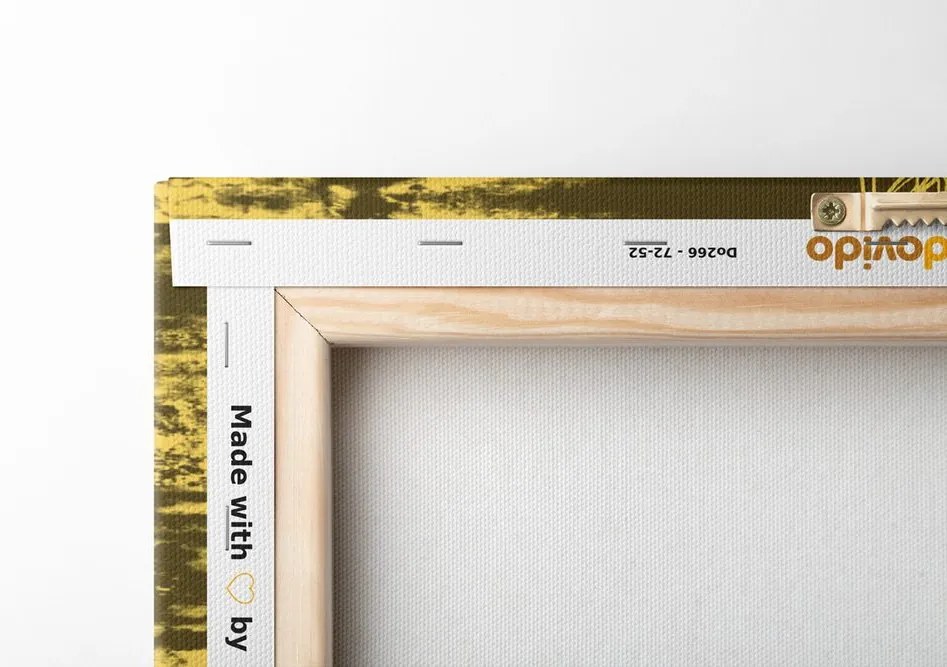 Quadro su tela – Texture Mandala