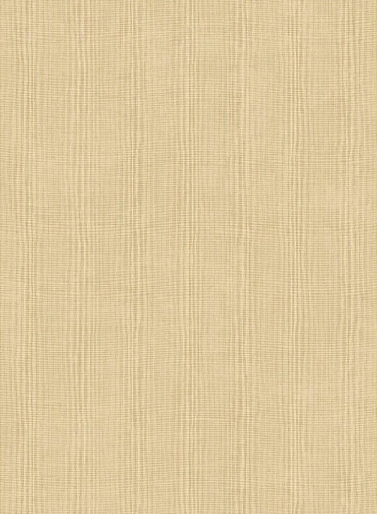 Arte International Carta da parati Tulle - Sand
