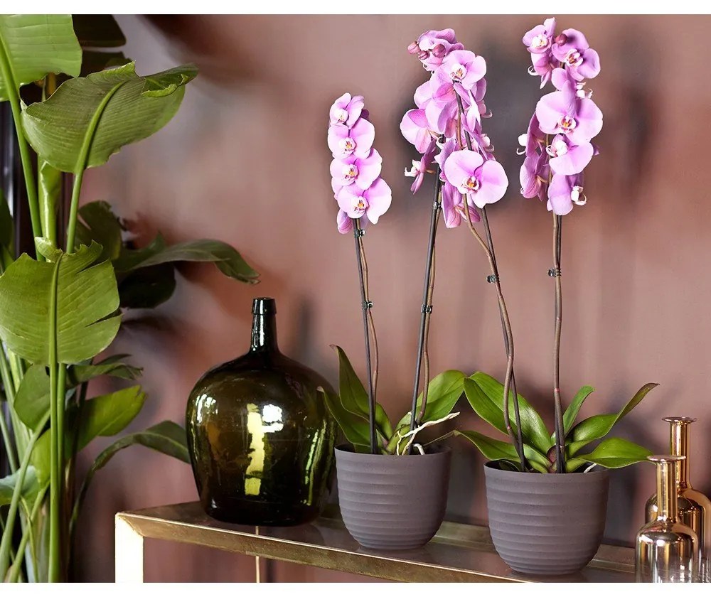 Vaso in plastica riciclata ø 20 cm Havana - Artevasi