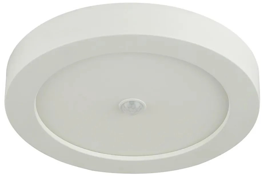 GLOBO 41605-18S - Lampada da soffitto LED da esterno con sensore PAULA 1xLED/18W/230V