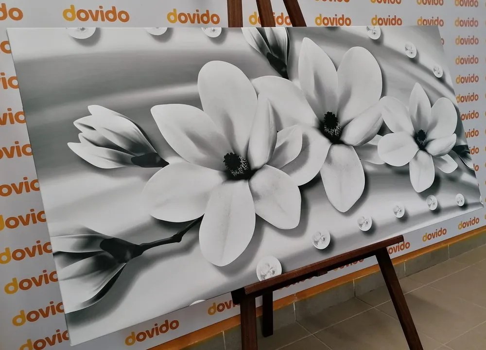Stampa su tela – Magnolia di lusso con perle in bianco e nero