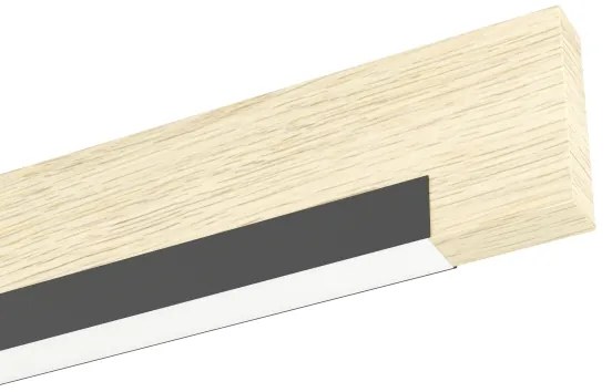 Eglo 901736-Plafoniera LED dimmerabile CAMACHO 2xLED/10W/230V nero/beige