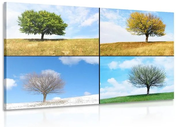 Stampa su tela – Albero nelle stagioni