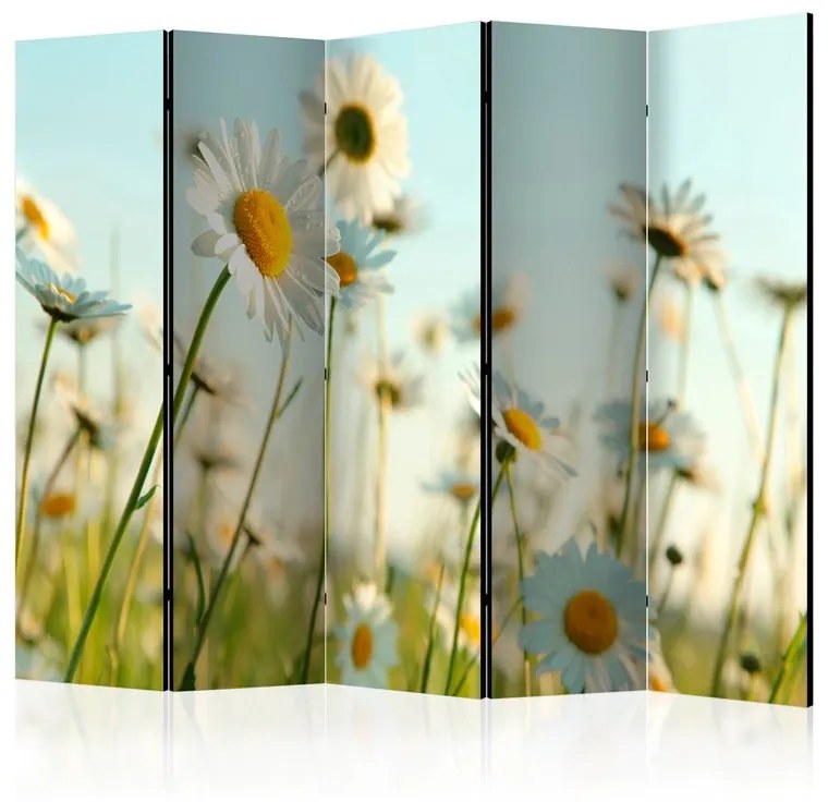 Paravento  Daisies  spring meadow II [Room Dividers]  Colore Giallo, Dimensioni e Misure 225x172