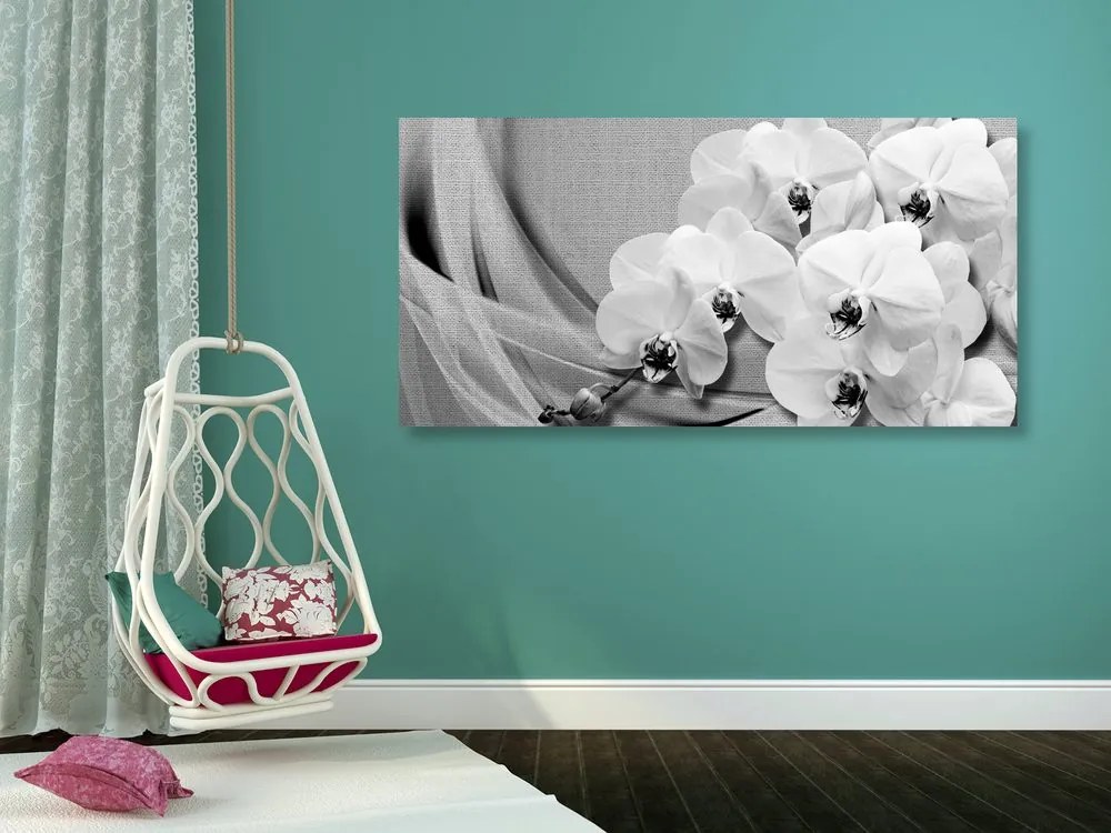 Stampa su tela – Orchidea su tela in bianco e nero