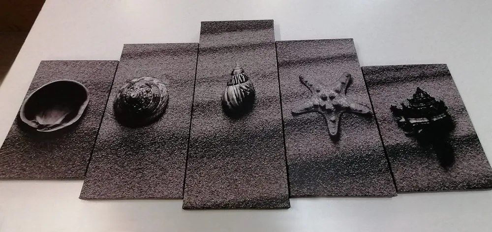 Quadri 5 pezzi – Conchiglie sulla spiaggia sabbiosa in bianco e nero