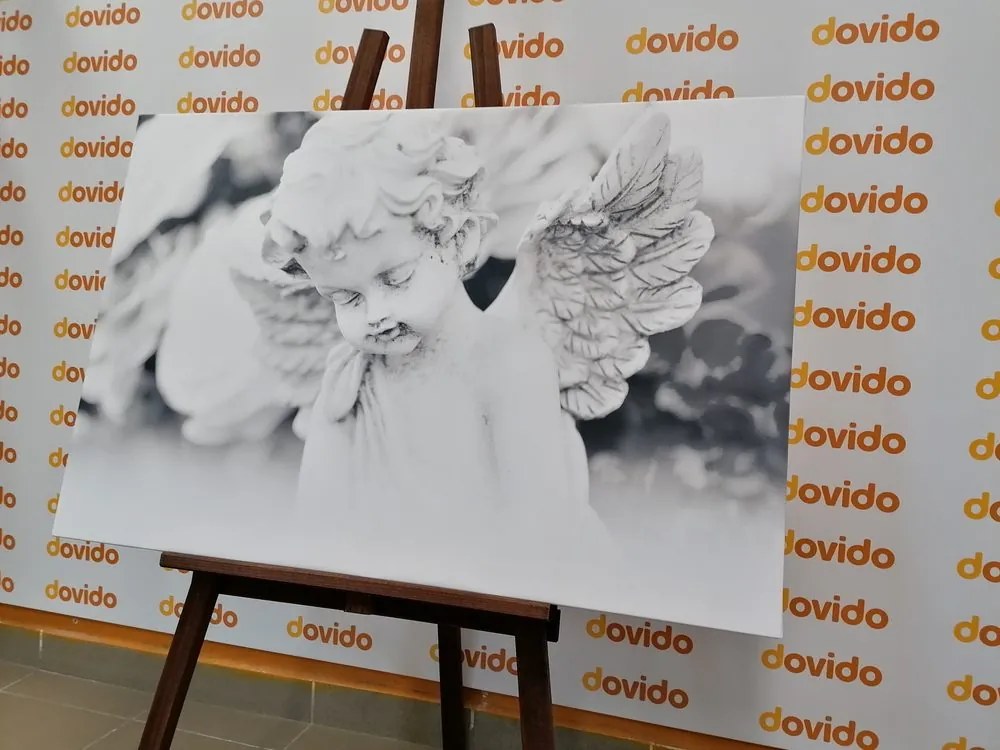 Quadro su tela – Angioletto