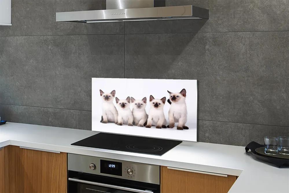 Pannello paraschizzi cucina Piccoli gatti 100x50 cm