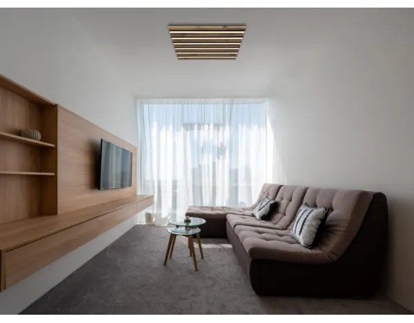 Globo 67347D2 - Plafoniera LED HAYDEN LED/30W/230V 3000K 45x45 cm