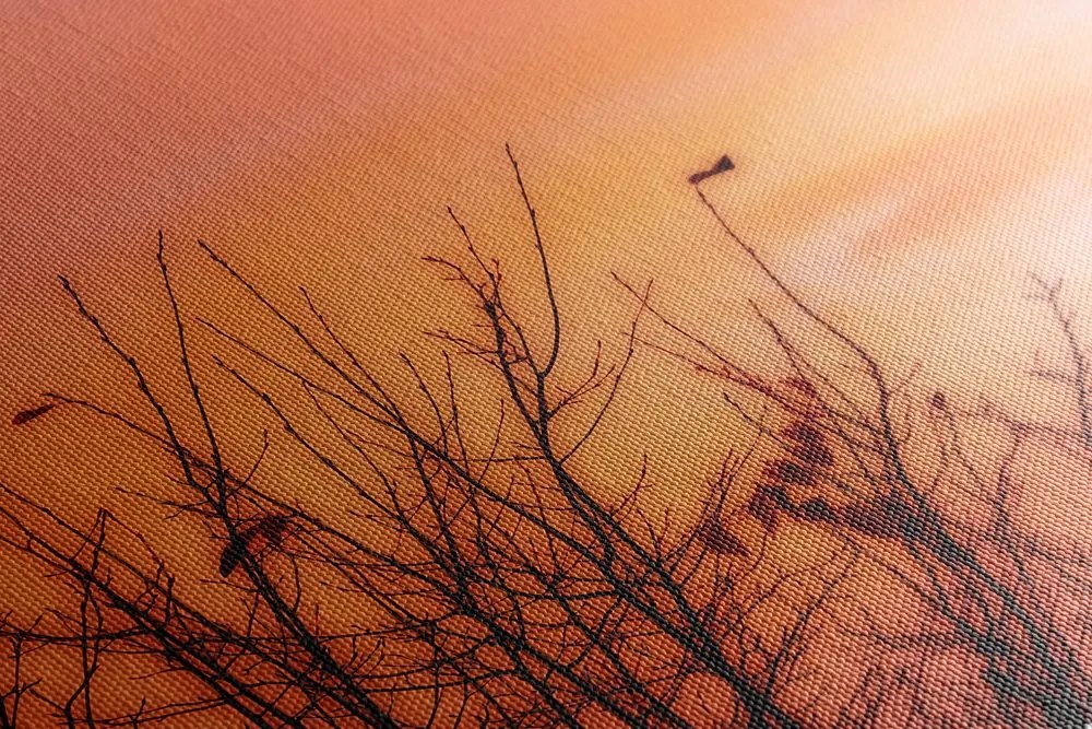 Quadro su tela – Cielo colorato