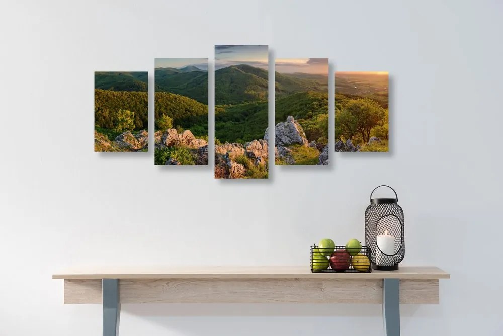 Quadri 5 pezzi – Natura baciata dal sole