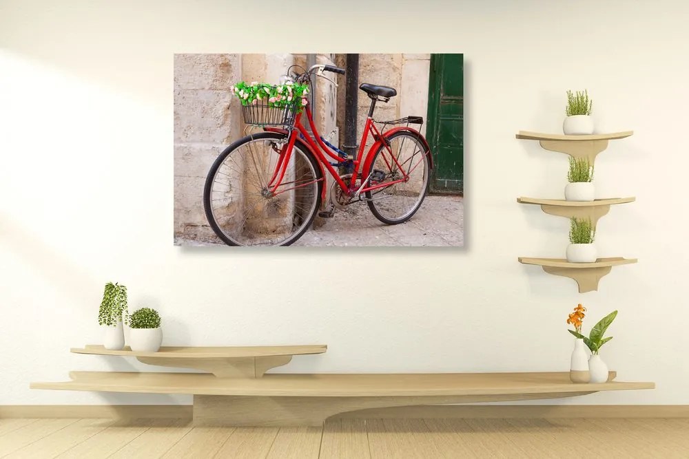 Stampa su tela – Bicicletta rustica